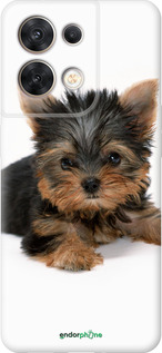 Силиконовый чехол Щенок йоркширского терьера для Oppo Reno8 5G - 931u-2614 изображение 