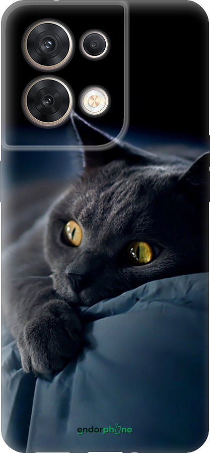 Силіконовий чехол Димчастий кіт для Oppo Reno8 5G - 825u-2614 изображение 