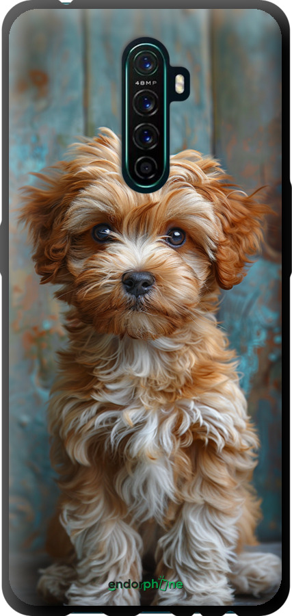 TPU чехол Щенок мальтипу для Oppo Reno Ace - 6157b-1964 изображение 