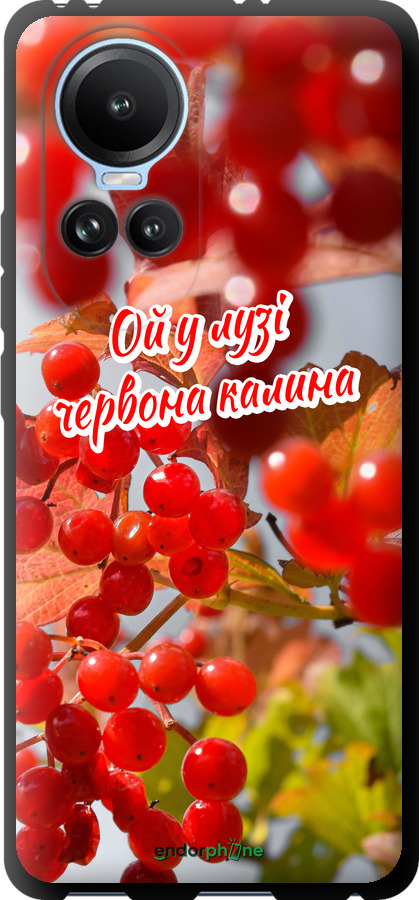 TPU чехол Калина для Oppo Reno10 - 5454b-3107 изображение 