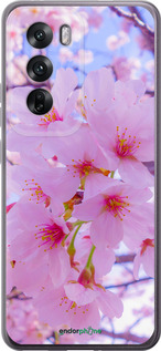 Силіконовий чехол Сакура для Oppo Reno12 5G - 6029u-3742 изображение 