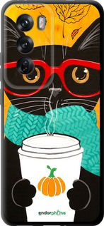 TPU чехол Осенний кот для Oppo Reno12 Pro 5G - 4026b-3740 изображение 