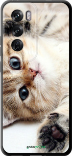 TPU чехол Котик для Oppo Reno12 Pro 5G - 6024b-3740 изображение 