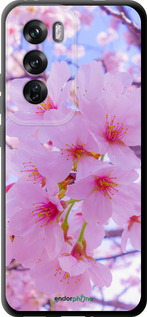 TPU чехол Сакура для Oppo Reno12 Pro 5G - 6029b-3740 изображение 