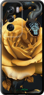 TPU чехол Black snake and golden rose для Oppo Reno12 Pro 5G - 6068b-3740 изображение 