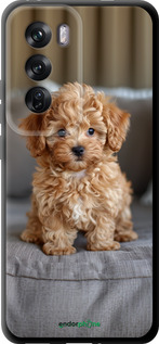 TPU чехол Mini-maltipoo для Oppo Reno12 Pro 5G - 6158b-3740 изображение 