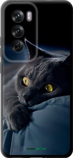 TPU чехол 'Дымчатый кот' для Oppo Reno12 Pro 5G изображение 2