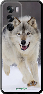 TPU чехол Бегущий волк для Oppo Reno12 Pro 5G - 826b-3740 изображение 