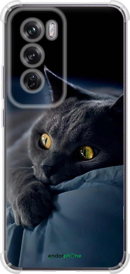 Силіконовий протиударний с посиленими кутами чехол Димчастий кіт для Oppo Reno12 Pro 5G - 825sp-3740 изображение 