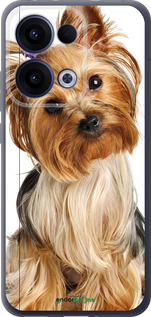 Силиконовый чехол Йоркширский терьер с хвостиком для Oppo Reno13 5G - 930u-3944 изображение 