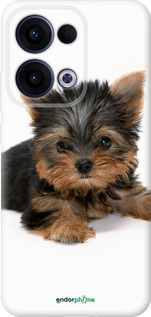 Силиконовый чехол Щенок йоркширского терьера для Oppo Reno13 5G - 931u-3944 изображение 