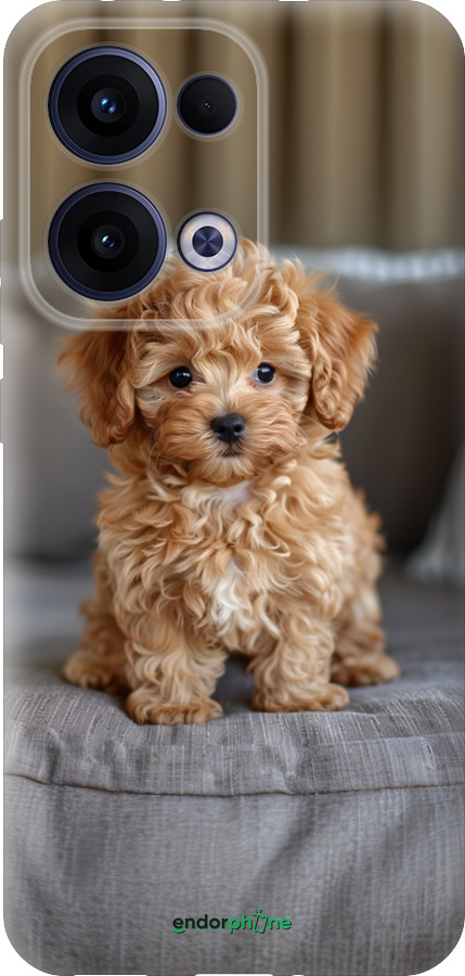 Силиконовый чехол Mini-maltipoo для Oppo Reno13 5G - 6158u-3944 изображение 