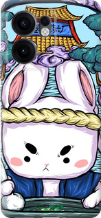 Силиконовый чехол № 5342 для Oppo Reno13 F 5G / Reno13 F 4G - 5342u-3955 изображение 