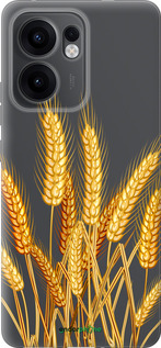 Силіконовий чехол Колоски пшениці для Oppo Reno13 F 5G / Reno13 F 4G - 5866u-3955 изображение 