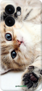 Силиконовый чехол Котик для Oppo Reno13 F 5G / Reno13 F 4G - 6024u-3955 изображение 
