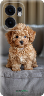 Силиконовый чехол Mini-maltipoo для Oppo Reno13 F 5G / Reno13 F 4G - 6158u-3955 изображение 