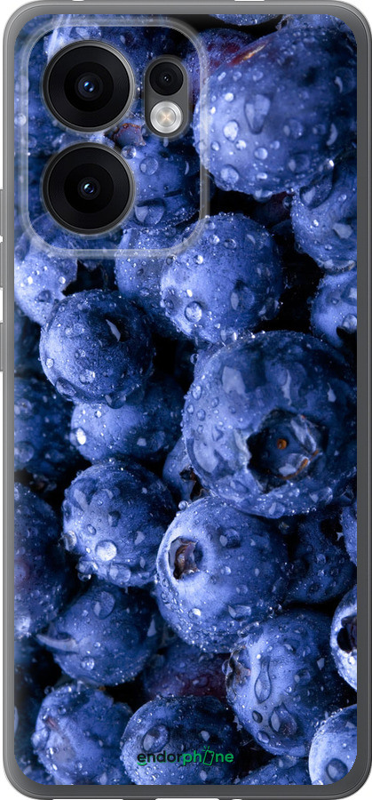 Силиконовый чехол Голубика для Oppo Reno13 F 5G / Reno13 F 4G - 4459u-3955 изображение 