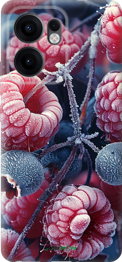 Силиконовый чехол Морозные ягоды для Oppo Reno13 F 5G / Reno13 F 4G - 6033u-3955 изображение 
