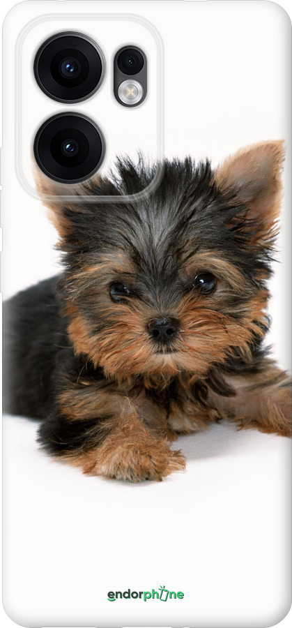Силиконовый чехол Щенок йоркширского терьера для Oppo Reno13 F 5G / Reno13 F 4G - 931u-3955 изображение 