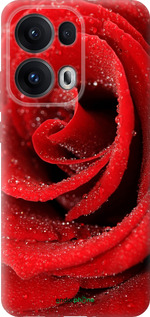 Силиконовый чехол Красная роза для Oppo Reno13 Pro - 529u-3943 изображение 