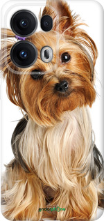 Силіконовий чехол Йоркширський тер'єр із хвостиком для Oppo Reno13 Pro - 930u-3943 изображение 