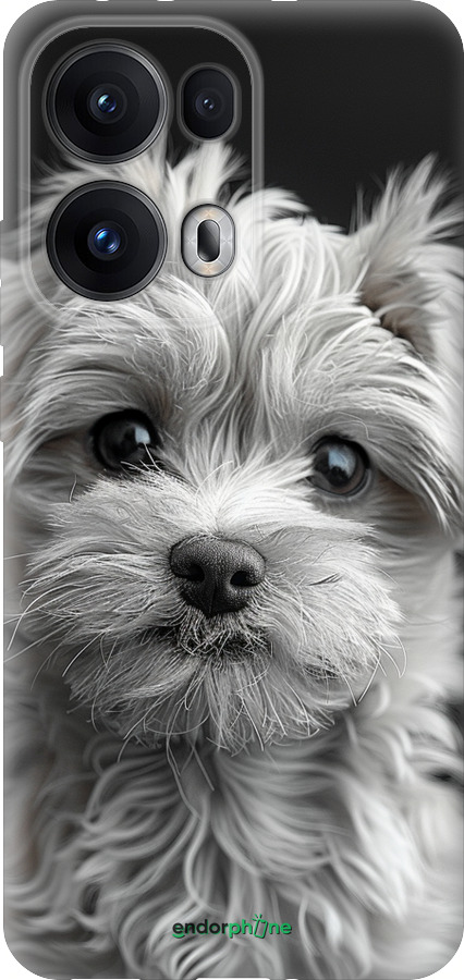 Силиконовый чехол Мальтипу на чорном фоне для Oppo Reno13 Pro - 6156u-3943 изображение 