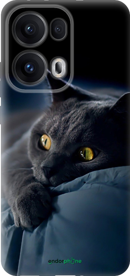 Силиконовый чехол Дымчатый кот для Oppo Reno13 Pro - 825u-3943 изображение 