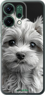 Силиконовый чехол Мальтипу на чорном фоне для Oppo RENO14 5G - 6156u-4058 изображение 