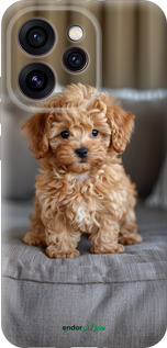 Силиконовый чехол Mini-maltipoo для Oppo Reno15 Pro 5G - 6158u-4225 изображение 