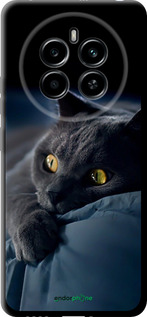 TPU чехол Дымчатый кот для Realme 12 4G - 825b-3785 изображение 
