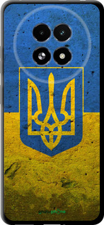 TPU чехол Флаг и герб Украины 2 для Realme 13+ 5G - 378b-3891 изображение 