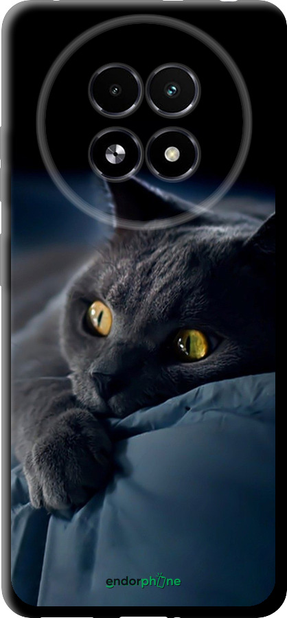 TPU чехол Димчастий кіт для Realme 13+ 5G - 825b-3891 изображение 