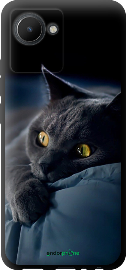 

TPU чохол "Димчастий кіт" для Realme C30, Сірий