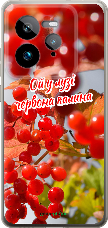 Силиконовый чехол Калина для Realme GT 7 Pro - 5454u-3893 изображение 
