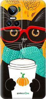 Силіконовий чехол Осінній кіт для Realme GT Neo3 - 4026u-2590 изображение 
