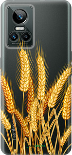 Силиконовый чехол Колоски пшеници для Realme GT Neo3 - 5866u-2590 изображение 