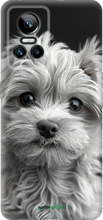 Силиконовый чехол Мальтипу на чорном фоне для Realme GT Neo3 - 6156u-2590 изображение 