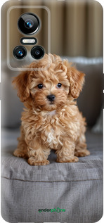 Силиконовый чехол Mini-maltipoo для Realme GT Neo3 - 6158u-2590 изображение 