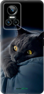 Силиконовый чехол 'Дымчатый кот' для Realme GT Neo3 изображение 2