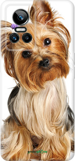 Силиконовый чехол Йоркширский терьер с хвостиком для Realme GT Neo3 - 930u-2590 изображение 