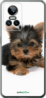 Силиконовый чехол Щенок йоркширского терьера для Realme GT Neo3 - 931u-2590 изображение 