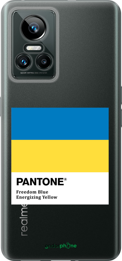 Силиконовый чехол Прапор Пантон для Realme GT Neo3 - 5275u-2590 изображение 