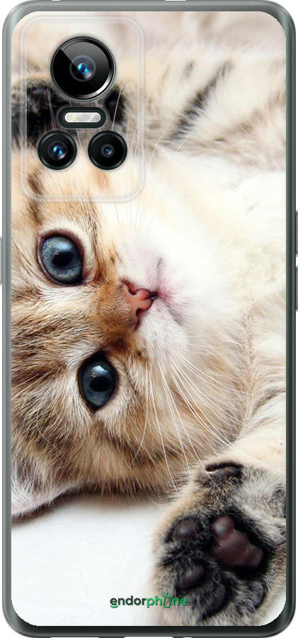 Силиконовый чехол Котик для Realme GT Neo3 - 6024u-2590 изображение 
