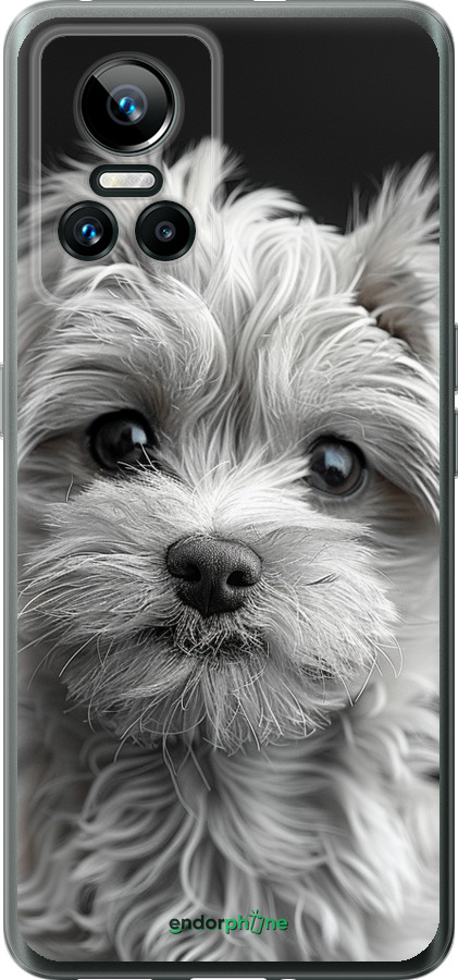 Силиконовый чехол Мальтипу на чорном фоне для Realme GT Neo3 - 6156u-2590 изображение 