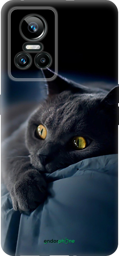 Силиконовый чехол Дымчатый кот для Realme GT Neo3 - 825u-2590 изображение 