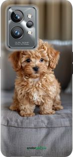 Силиконовый чехол Mini-maltipoo для Realme GT2 Pro - 6158u-2566 изображение 