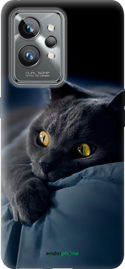 Силіконовий чехол Димчастий кіт для Realme GT2 Pro - 825u-2566 изображение 