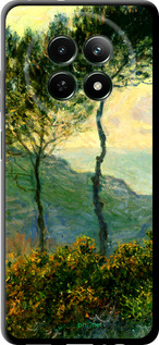 TPU чехол Клод Моне для Realme Realme 12 5G - 1193b-3705 изображение 