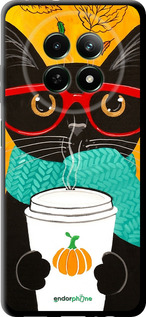 TPU чехол Осенний кот для Realme Realme 12 5G - 4026b-3705 изображение 