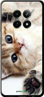 TPU чехол Котик для Realme Realme 12 5G - 6024b-3705 изображение 